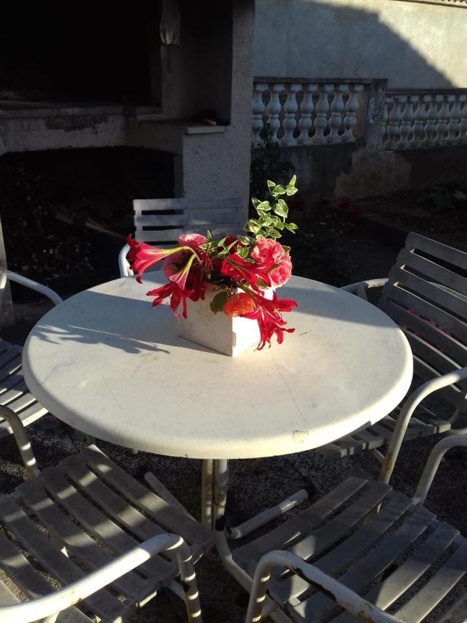 Apartment Obiteljska Kuca Grgic *